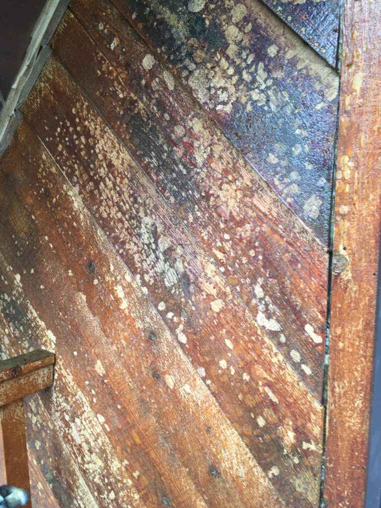 rawhide removal & chemical stripping in Anchorage